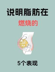 -Fundi张玉珊修身堂·indiba·BTL科技瘦身