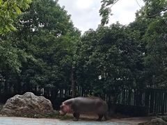 -常州淹城野生动物世界