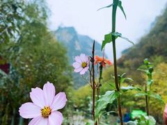 -十渡东湖港风景区