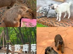 -南戴河国际娱乐中心