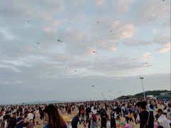 -巨鹏飞梦幻海岸