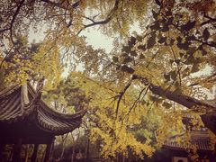 -无锡惠山寺