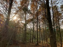 -上海海湾国家森林公园