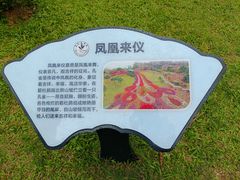 -东莞植物园