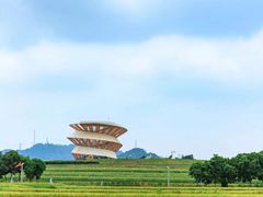 -光明小镇欢乐田园