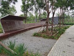 -东郊湿地公园