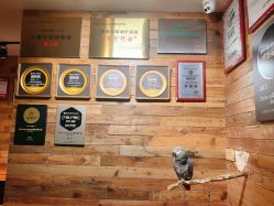 -Zoolung Zoolung动物主题公园(海信广场店)