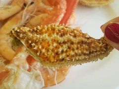 海星-东方红海鲜百汇(国际大厦店)