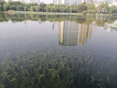 -后襄河公园