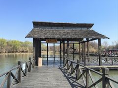 -溱湖国家湿地公园