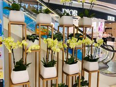 -合景·悠方(成都店)