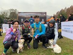-艾吉宠物医院·疑难杂症转诊中心·猫友好(碧江路院)