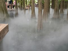 -东湖落雁景区