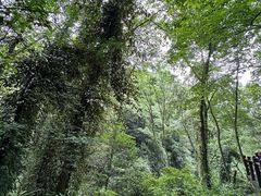-青城山