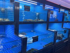 -悦宴·雅致餐厅(绿地蓝海店)