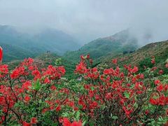 -大围山国家森林公园