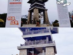 -大湾区中央湿地公园