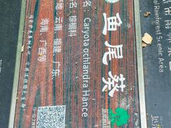 -莫里热带雨林景区
