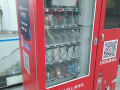 -东方体育中心(地铁站)