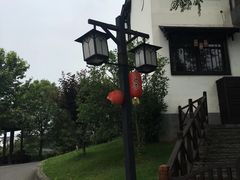 -大塘金香草谷