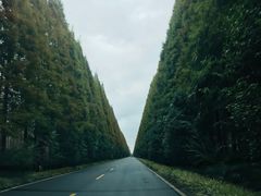 -黄海国家森林公园