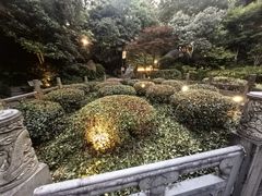 -十八棵（老龙井）御茶园(老龙井店)