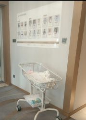 -大美母婴月子中心(希尔顿店)