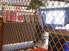 -纽斯特牛排自助餐厅(浦东文峰广场店)