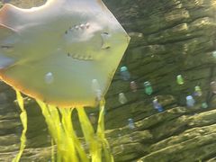 -欢乐海岸海洋奇梦馆