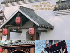 -合肥滨湖国家森林公园