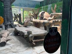 -灵玲国际马戏城