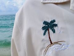 -西涌国际滨海旅游区