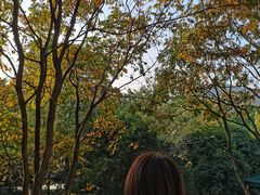 -绍兴鉴湖君澜大酒店