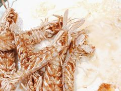 -巧克力渔家.小船海鲜胶东菜(万平口店)