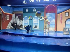 -重庆欢乐海底世界