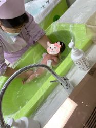 -敦南舒悦月子会所(南湖店)