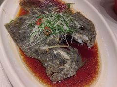 清蒸多宝鱼-梦都海鲜酒家(万达广场江桥店)