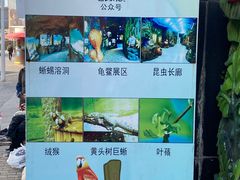 -上海大自然野生昆虫馆(东方明珠·爬宠昆虫探索中心)