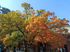-香山公园