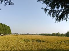 -嘉北郊野公园