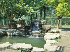 -上海野生动物园