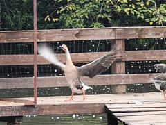 -溱湖国家湿地公园