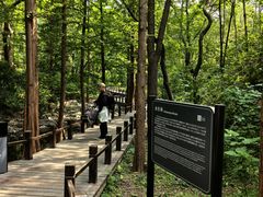 -国家植物园南园