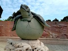 -广东惠东海龟国家级自然保护区