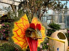 -沈阳植物园