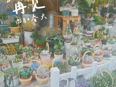 -循礼门鲜花花市(武汉循礼门店)