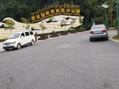 -西双版纳原始森林公园