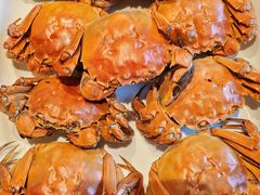 -常赢三兄弟·清真涮肉·清真炒菜(朝阳新城店)
