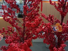 -茶话弄(北京五棵松万达店)