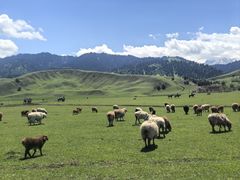 -新疆那拉提国家旅游度假区